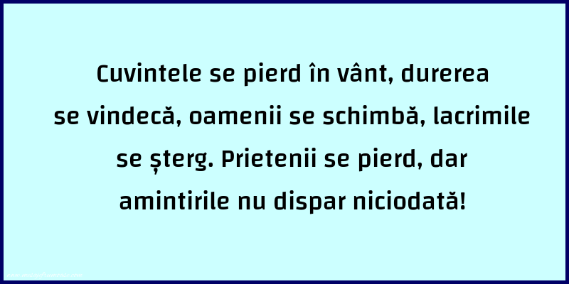 Mesaje frumoase despre prietenie - Cuvintele se pierd in vant, durerea se vindeca, oamenii se schimba